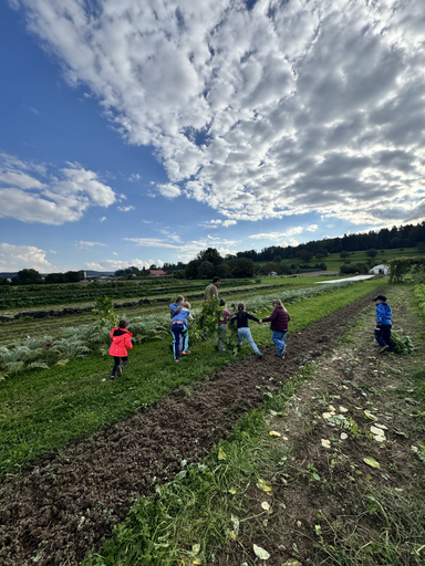 Nachmittag auf dem Bauernhof 2025