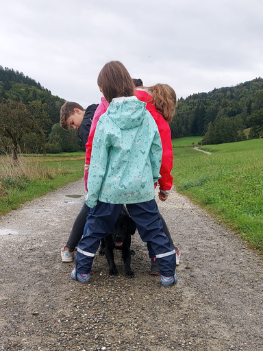 Lustiger Spaziergang mit Ellie