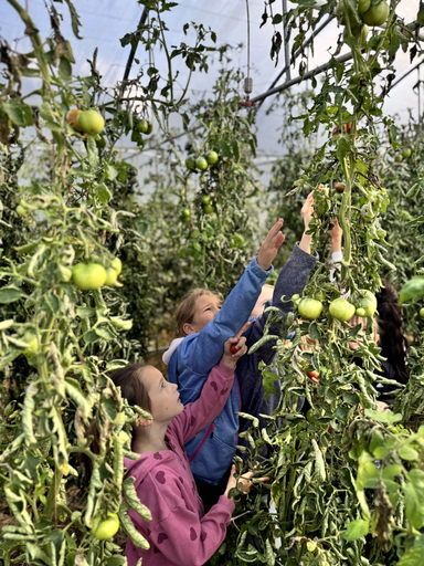 Nachmittag auf dem Bauernhof 2025